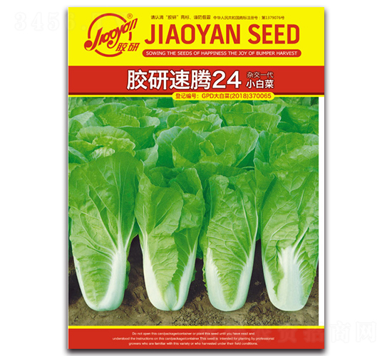 �z�����v24С�ײ�-С�ײ˷N��-�z��