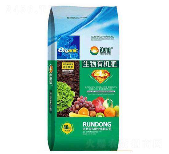 �����ЙC��-ӭ��-���|�ʘI(y��)