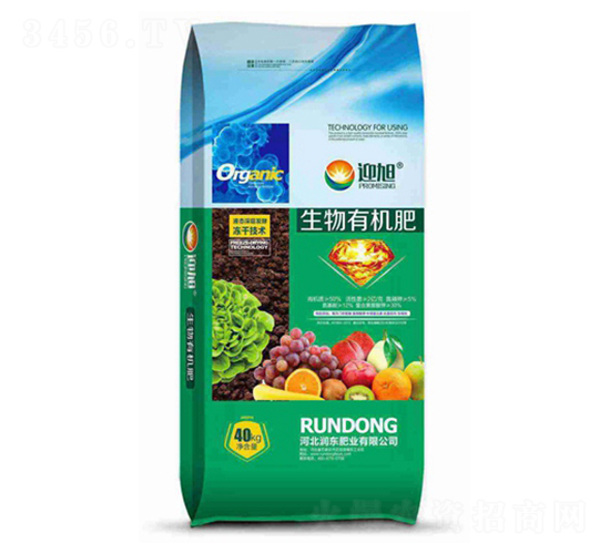 �����ЙC(j��)��-ӭ��-���|�ʘI(y��)