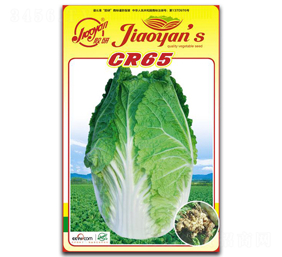 CR65-�ﲥ�ײ˷N��-�z��