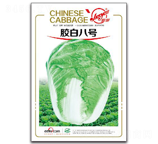 �z�װ�̖(h��o)-�ﲥ�ײ˷N��-�z��