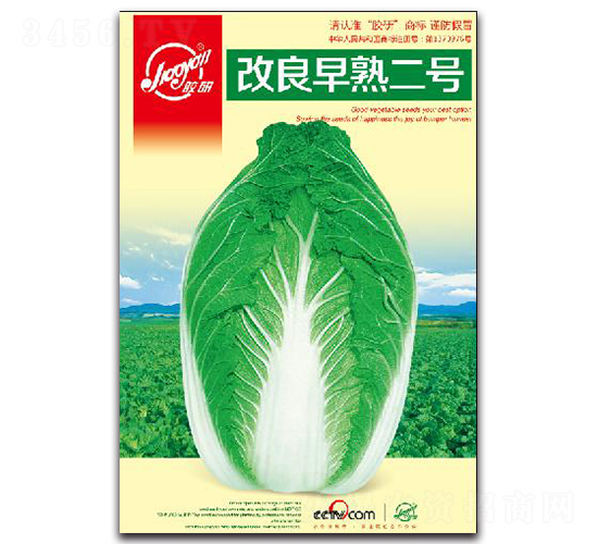 ���������̖-�ﲥ�ײ˷N��-�z��