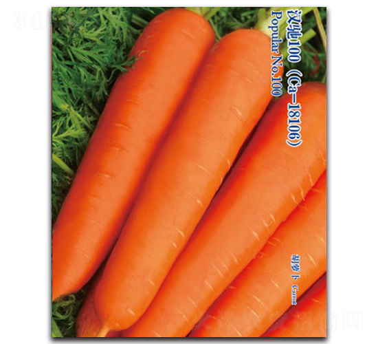 �h�Y100-���}���N��-�h��