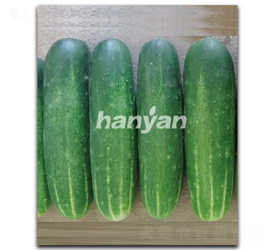 �h��һ̖-�S�ϷN��-�h��