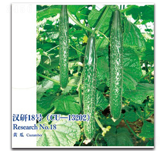 �h��18̖�S��-�S�ϷN��-�h��