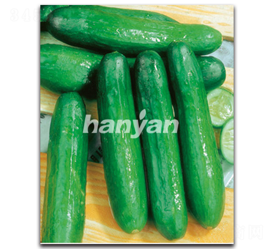 �h������7̖(h��o)-�S�ϷN��-�h��