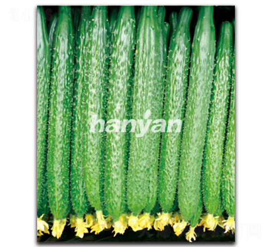 �h�д���-�S�ϷN��-�h��