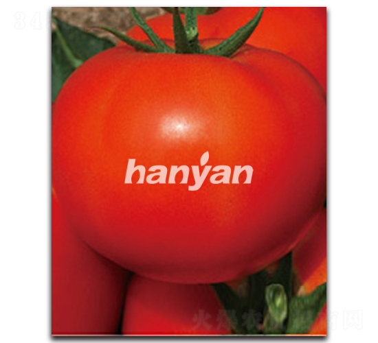 �hӯ��̖(h��o)-���ѷN��-�h��