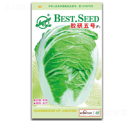 �z����̖(h��o)F1-�Ĳ��ײ˷N��-�z��