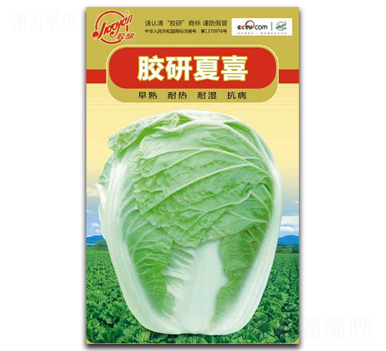 �z����ϲ-�Ĳ��ײ˷N��-�z��