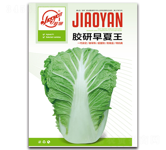 �z��������-�Ĳ��ײ˷N��-�z��