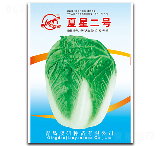 夏星二號(hào)-夏播白菜種子-膠研