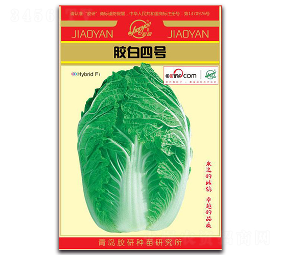 膠白四號(hào)-春播白菜種子-膠研