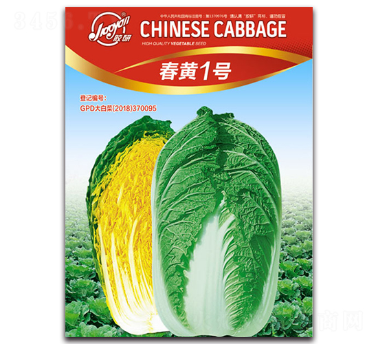 春黃1號(hào)-春播白菜種子-膠研