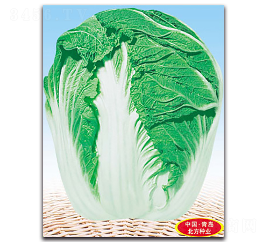 �����-��ײ˷N��-�����N�I(y��)