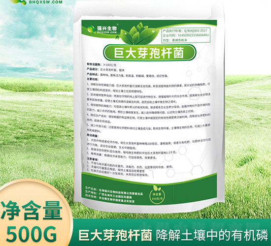 �޴�ѿ�ߗU��-��(qi��ng)�d����