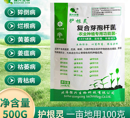 ��(f��)��ѿ�ߗU��-�o(h��)���`-��(qi��ng)�d����