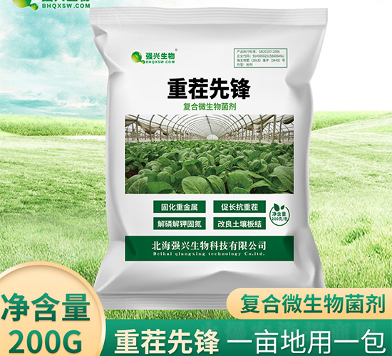 復(fù)合微生物菌劑-重茬先鋒-強(qiáng)興生物