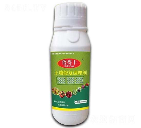 �����{(di��o)���ޏ�(f��)��-�����S