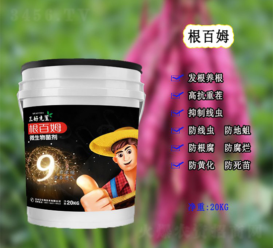 ΢�������-����ķ-������