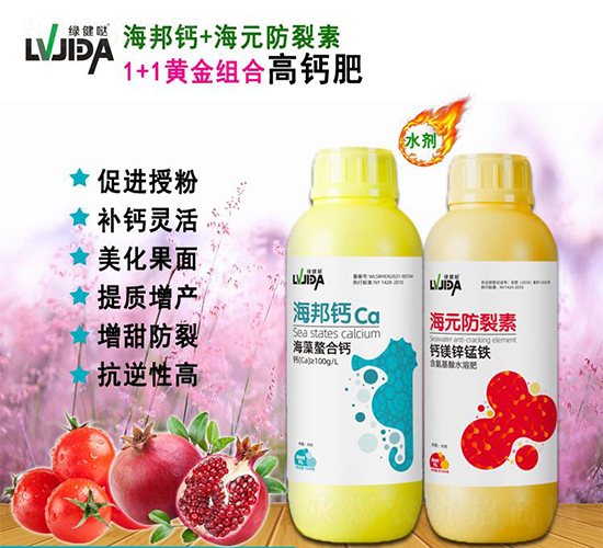 ���������}+�}�V�\�i�F-������