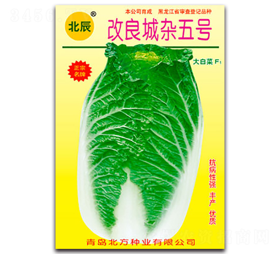 �������s��̖-��ײ˷N��-�����N�I(y��)