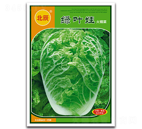 �G�~��-��ײ˷N��-�����N�I(y��)