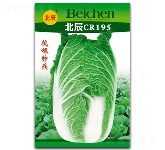 ����CR195-��ײ˷N��-�����N�I(y��)