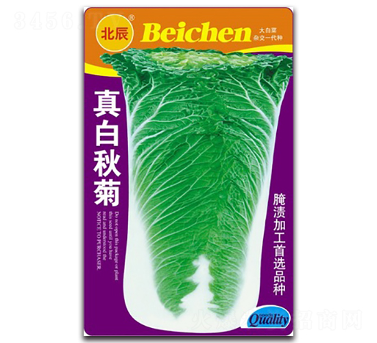 ������-��ײ˷N��-�����N�I(y��)