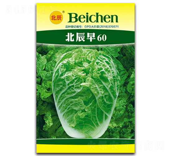 ������60-��ײ˷N��-�����N�I(y��)