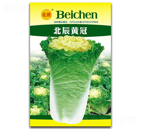 北辰黃冠-大白菜種子-北方種業(yè)