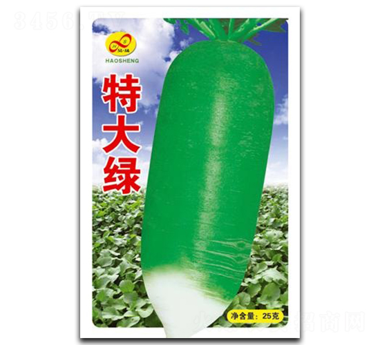 特大綠-蘿卜種子-昊晟種業(yè)