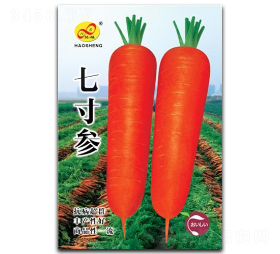 七寸參-胡蘿卜種子-昊晟種業(yè)