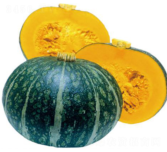 �{����-�ϹϷN��-�����r(n��ng)�I(y��)