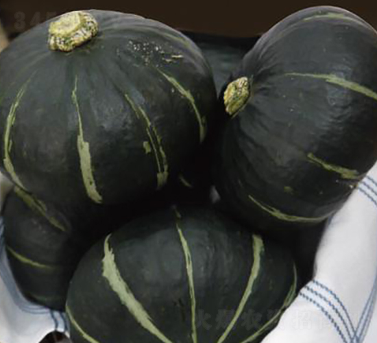 ؐ���R��-�ϹϷN��-�����r(n��ng)�I(y��)