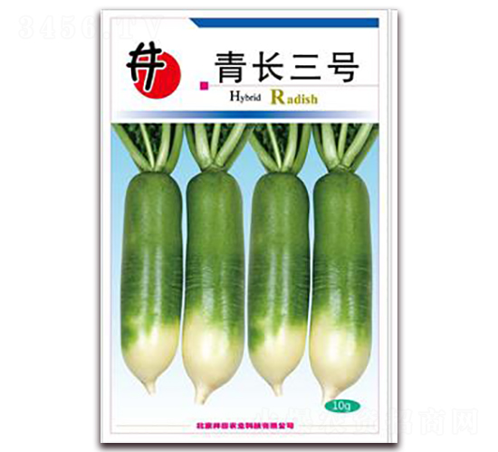 青長三號-蘿卜種子-井田農業(yè)