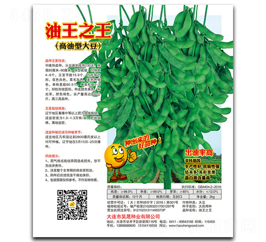 油王之王-大豆種子-昊晟種業(yè)