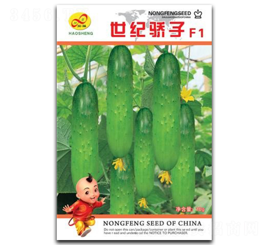 ���o���-�S�ϷN��-��ɷN�I(y��)