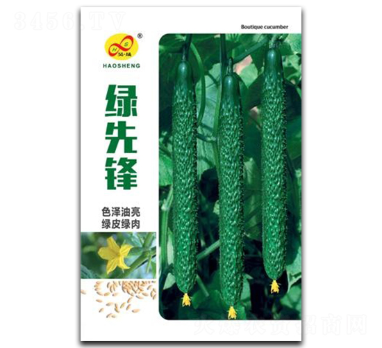 �G���h-�S�ϷN��-��ɷN�I(y��)