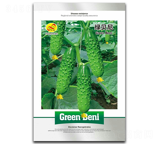 �Gؐ��-�S�ϷN��-��ɷN�I(y��)