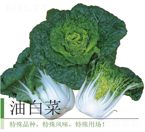 �Ͱײ�-�ײ˷N��-�����r(n��ng)�I(y��)