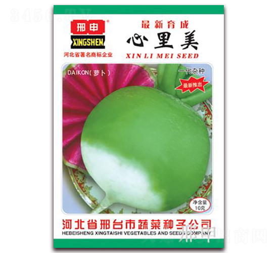 心里美-蘿卜種子-邢申