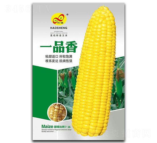 一品香-糯玉米種子-昊晟種業(yè)