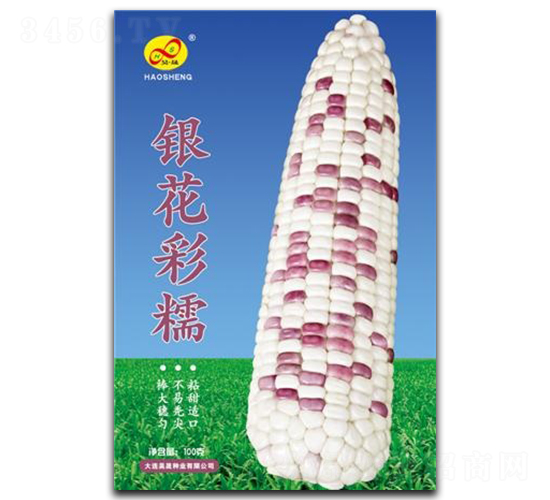 銀花彩糯-糯玉米種子-昊晟種業(yè)