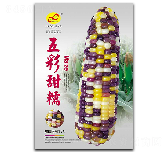 五彩甜糯-糯玉米種子-昊晟種業(yè)