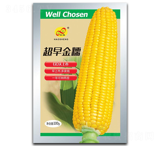 超早金糯-糯玉米種子-昊晟種業(yè)