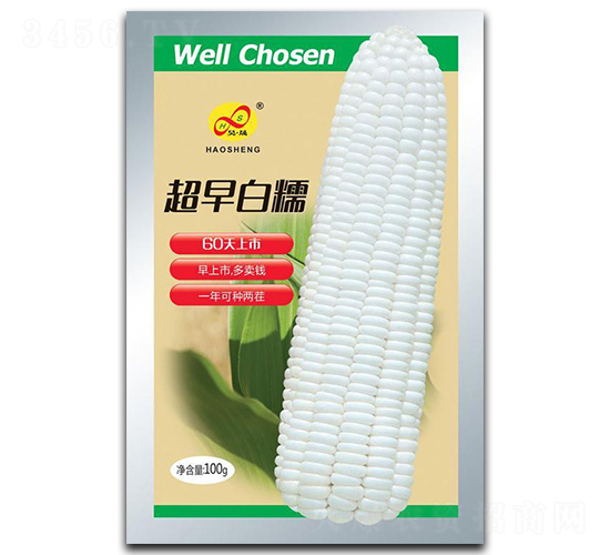 超早白糯-糯玉米種子-昊晟種業(yè)