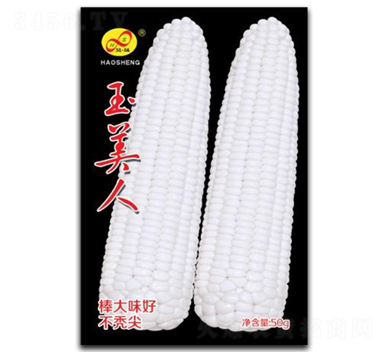 玉美人-糯玉米種子-昊晟種業(yè)