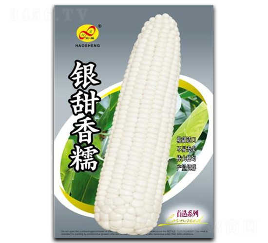 銀甜香糯-糯玉米種子-昊晟種業(yè)