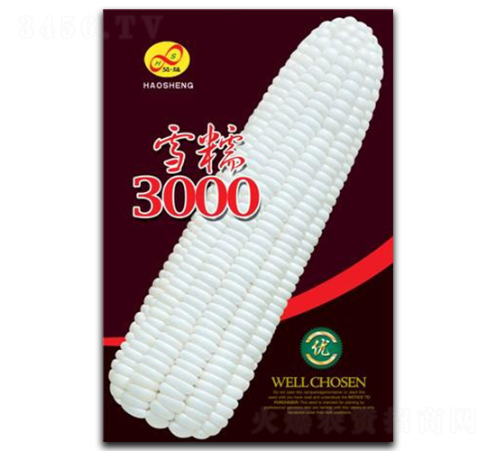 雪糯3000-糯玉米種子-昊晟種業(yè)